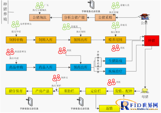 种猪养殖业务流程图