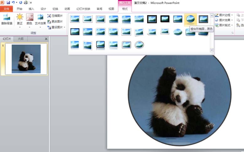 将ppt2010的图片剪裁成圆形的详细操作步骤