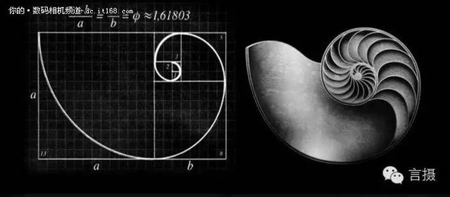 后来意大利数学家斐波那契根据黄金分割比例又研究出了著名的