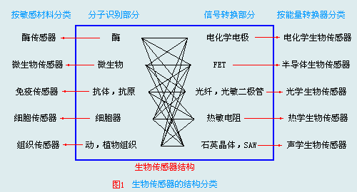 生物传感器是由高度选择性的分子识别材料与灵敏度极高的能量转换器