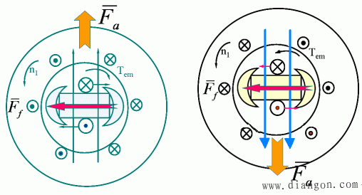 交轴电枢磁动势和励磁磁动势作用产生电磁力