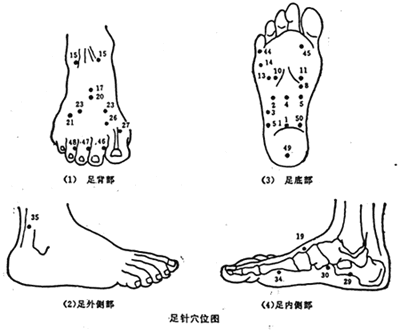 脚的各个部位详细图