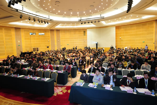 2010中国平板显示学术会议在沪盛大开幕