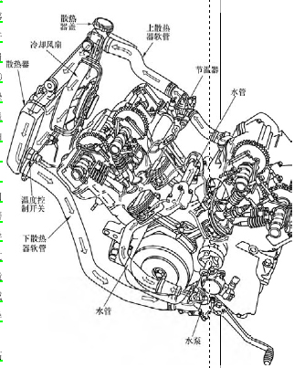 摩托车水箱构造图片