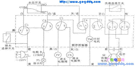 金羚xbb20